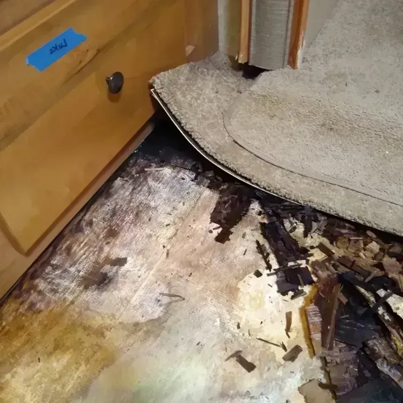 Best Wood Floor Water Damage Service in Waterman, IL